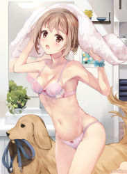 Rule 34 | 1girl, :o, animal, arm up, banned artist, bare arms, bare shoulders, blue scrunchie, blush, bow, bow bra, bow panties, bra, breasts, brown eyes, brown hair, cleavage, collarbone, commentary request, dog, groin, hand up, holding, holding towel, indoors, leash, looking at viewer, medium breasts, mouth hold, navel, open mouth, original, panties, pink bra, pink panties, scrunchie, striped bra, striped clothes, striped panties, suihi, teeth, towel, twitter username, underwear, underwear only, upper teeth only, vertical-striped bra, vertical-striped clothes, vertical-striped panties, wrist scrunchie