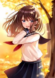Rule 34 | 1girl, autumn leaves, black sailor collar, black skirt, blouse, blue eyes, blurry, blurry background, brown hair, commentary request, day, depth of field, from side, ginkgo tree, ginkgo leaf, hair between eyes, hands up, leaf, long hair, long sleeves, neckerchief, original, outdoors, parted lips, pleated skirt, red neckerchief, sailor collar, sakura hiyori, school uniform, serafuku, shirt, skirt, smile, solo, teeth, tree, twitter username, upper teeth only, white shirt