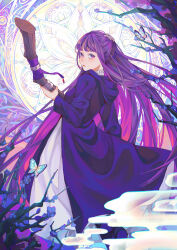 Rule 34 | 1girl, absurdres, black coat, blunt bangs, bug, butterfly, coat, commentary, dress, fern (sousou no frieren), from behind, highres, holding, holding staff, hood, insect, long hair, long sleeves, looking at viewer, mage staff, nuomirice, parted lips, purple eyes, purple hair, solo, sousou no frieren, staff, white dress