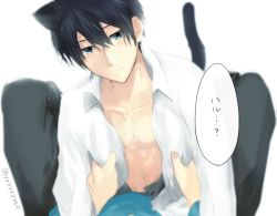 Rule 34 | 10s, 1boy, 2boys, animal ears, black hair, blue eyes, cat ears, cat tail, collarbone, free!, looking at viewer, multiple boys, nanase haruka (free!), open clothes, open shirt, pov, shirt, tail, text focus, translated, twitter username, white background