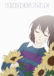 Rule 34 | androgynous, artist name, bandage on face, bandages, brown hair, closed eyes, collar, collared shirt, copyright name, flower, frisk (undertale), gender request, gnk-art, highres, holding, holding flower, long sleeves, plant, shirt, simple background, solo, striped clothes, striped sweater, sunflower, sweater, tearing up, undertale, upper body, white background