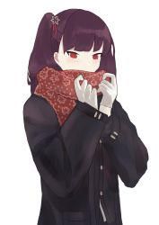 Rule 34 | 1girl, black coat, black jacket, blush, coat, covering own mouth, girls&#039; frontline, gloves, highres, jacket, long hair, looking at viewer, purple hair, red eyes, red scarf, scarf, side ponytail, solo, upper body, wa2000 (date in the snow) (girls&#039; frontline), wa2000 (girls&#039; frontline), wh1te, white background, white gloves