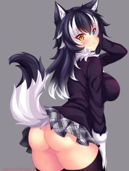 Rule 34 | 1girl, animal ear fluff, animal ears, arched back, ass, black hair, black jacket, black thighhighs, blue eyes, blush, breasts, brown eyes, closed mouth, commentary, english commentary, fang, fang out, gloves, grey background, grey skirt, grey wolf (kemono friends), hair between eyes, head tilt, heterochromia, highres, jacket, kemono friends, large breasts, leaning forward, long sleeves, multicolored hair, nottytiffy, patreon username, plaid, plaid skirt, pleated skirt, simple background, skirt, slit pupils, smile, solo, tail, tail raised, thighhighs, two-tone hair, watermark, web address, white gloves, white hair, wolf ears, wolf girl, wolf tail