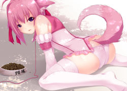 Rule 34 | 10s, 1girl, animal ears, ass, bad id, bad pixiv id, blush, bowl, dog days, dog tail, food, food on face, leash, looking back, millhiore f. biscotti, open mouth, panties, pet bowl, pet food, pet play, pink hair, pink panties, purple eyes, shokuyou mogura, sitting, solo, tail, thighhighs, underwear, white thighhighs