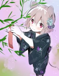 Rule 34 | 1girl, akagashi hagane, animal ears, bamboo, blush, floral print, flower, from above, gradient background, grey hair, hair flower, hair ornament, japanese clothes, kimono, long sleeves, mouse ears, mouse tail, nazrin, obi, pink eyes, sash, short hair, sketch, solo, star (symbol), tail, tanabata, tanzaku, touhou, unfinished, wide sleeves