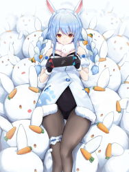 Rule 34 | 1girl, animal ear fluff, animal ears, bare shoulders, black gloves, black pantyhose, blue hair, bow, braid, bridal garter, carrot, carrot hair ornament, creature, detached sleeves, don-chan (usada pekora), dress, ebiri fy, food-themed hair ornament, gloves, hair ornament, highres, holding hands, hololive, leotard, long hair, looking down, lying, multicolored hair, nintendo switch, on back, pantyhose, pekomon (usada pekora), rabbit, rabbit ears, rabbit girl, red eyes, solo, thick eyebrows, twin braids, two-tone hair, usada pekora, usada pekora (1st costume), virtual youtuber, white bow, white dress, white hair