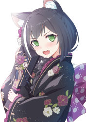 Rule 34 | 1girl, :d, animal ear fluff, animal ears, black hair, black kimono, blush, braid, cat ears, cat girl, cat tail, commentary, fang, floral print, flower, french braid, green eyes, hair flower, hair ornament, highres, holding, japanese clothes, karyl (new year) (princess connect!), karyl (princess connect!), kimono, long hair, looking at viewer, multicolored hair, new year, obi, open mouth, pink sash, princess connect!, sash, sigma rio, smile, solo, streaked hair, tail, white background, white hair