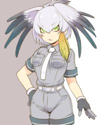 Rule 34 | 10s, 1girl, bad id, bad pixiv id, belt, black gloves, fingerless gloves, gloves, green eyes, grey hair, grey shirt, grey shorts, hand on own hip, head wings, kemono friends, looking at viewer, necktie, o (tanutanu i), shirt, shoebill (kemono friends), short hair, shorts, simple background, solo, standing, white necktie, wings