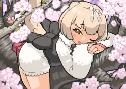 Rule 34 | 1girl, ;d, blonde hair, blush stickers, branch, brown eyes, commentary request, flower, highres, in tree, kemono friends, long sleeves, looking at viewer, one eye closed, open mouth, pink footwear, puffy shorts, rinx, shirt, shoes, short hair, shorts, silky anteater (kemono friends), smile, solo, tail, tree, white shirt, white shorts