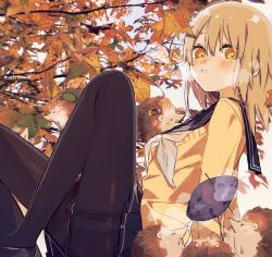 Rule 34 | 1girl, autumn leaves, black footwear, black sailor collar, black skirt, blush, commentary request, day, eyebrows hidden by hair, feet out of frame, food, hair between eyes, hedgehog, highres, knees up, leaf, long hair, looking at viewer, maple leaf, mole, mole under eye, neckerchief, orange eyes, original, outdoors, pantyhose, parted lips, pleated skirt, revision, roasted sweet potato, sailor collar, school uniform, serafuku, signature, skirt, sofra, solo, steam, sweater, sweet potato, thighband pantyhose, twitter username, white neckerchief, yellow sweater