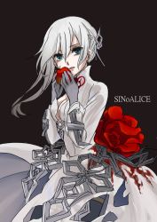 Rule 34 | 1girl, :o, apple, black background, blue eyes, dress, eating, flower, food, fruit, fuyu kotatsu, gloves, grey gloves, hair between eyes, hair ornament, highres, holding, holding food, long hair, long sleeves, looking at viewer, open mouth, red flower, red rose, rose, simple background, sinoalice, snow white (sinoalice), solo, white dress, white hair