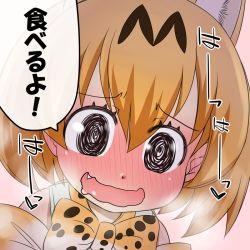 Rule 34 | 10s, 1girl, @ @, animal ears, blonde hair, blush, bow, bowtie, breath, commentary request, fang, full-face blush, hanya (hanya yashiki), heart, heavy breathing, in heat, kemono friends, looking at viewer, open mouth, print bow, print bowtie, print neckwear, saliva, serval (kemono friends), serval print, short hair, smile, solo, steam, wavy mouth, yellow bow, yellow bowtie