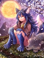 Rule 34 | 1girl, absurdres, animal, animal ear fluff, animal ears, animal hands, bad id, bad pixiv id, bare shoulders, blue hair, chain, claws, closed mouth, commentary request, fenrir (shingeki no bahamut), flower, full moon, granblue fantasy, hair between eyes, hand on own knee, highres, long hair, looking at viewer, monster girl, moon, outdoors, petals, red eyes, shadowverse, shingeki no bahamut, sitting, smile, solo, sukemyon, tail, very long hair, white flower, wolf, wolf ears, wolf girl, wolf tail