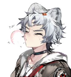 Rule 34 | 1boy, animal ears, arknights, bag, bear boy, bear ears, bishounen, blush, chewing gum, choker, close-up, closed eyes, grey hair, highres, infection monitor (arknights), jacket, male focus, qanipalaat (arknights), short hair, simple background, solo, upper body, white background, yyb