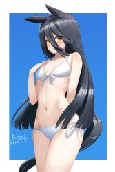Rule 34 | 1girl, a.nori, absurdres, ahoge, artist name, bikini, black hair, blue background, border, breasts, commentary request, dated, earrings, hair between eyes, highres, horse girl, horse tail, jewelry, long hair, manhattan cafe (umamusume), multicolored hair, navel, outside border, simple background, single earring, small breasts, solo, swimsuit, tail, two-tone hair, umamusume, white bikini, white border, white hair, yellow eyes