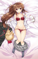 Rule 34 | 1girl, akina tsukako, bed sheet, black socks, blush, bow, bow bra, bow panties, bra, brown hair, cat, clothes pull, kneehighs, little busters!, long hair, lying, natsume rin, on back, open clothes, open shirt, panties, plaid, plaid bra, plaid panties, plaid skirt, ponytail, red bra, red eyes, red panties, shiny skin, shirt, skirt, skirt pull, socks, solo, stuffed toy, thigh gap, underwear, undressing, white shirt