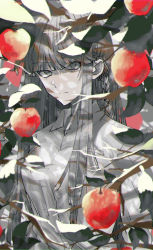 apple breast_pocket closed_mouth collared_shirt commentary_request danganronpa:_trigger_happy_havoc danganronpa_(series) expressionless food frown fruit grey_hair hair_ribbon joh_pierrot kirigiri_kyoko leaf long_hair looking_at_viewer pocket apple ribbon shirt solo spot_color upper_body white_shirt