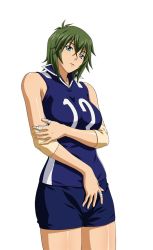 Rule 34 | 00s, 1girl, breasts, female focus, green hair, ikkitousen, kyocho chuukou, short hair, simple background, solo, standing, white background