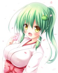 Rule 34 | 1girl, :d, alternate costume, commentary request, frog hair ornament, green hair, hair ornament, hakama, hakama skirt, highres, japanese clothes, kochiya sanae, long hair, looking at viewer, omamori, open mouth, osashin (osada), petals, ponytail, skirt, smile, snake hair ornament, solo, touhou, upper body, white background, yellow eyes