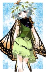 Rule 34 | 1girl, antennae, aqua hair, border, brown eyes, butterfly wings, closed mouth, dress, eternity larva, fairy, feet out of frame, green dress, hair between eyes, highres, insect wings, leaf, leaf on head, multicolored clothes, multicolored dress, short hair, single strap, smile, solo, suehachi (hikage), touhou, white border, wings