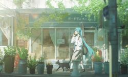 1girl absurdres aqua_hair black_cat black_footwear blurry cactus cafe cat commentary_request day depth_of_field grey_skirt guitar_case hatsune_miku highres instrument_case jacket konya_karasue leaf long_hair long_sleeves outdoors plant potted_plant shirt sidewalk skirt socks storefront twintails utility_pole very_long_hair vocaloid walking white_jacket white_shirt white_socks window yawning