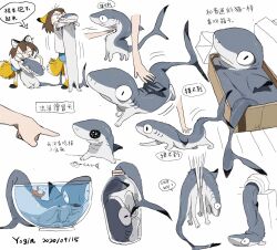 Rule 34 | 1girl, animal ears, animal focus, black footwear, blue shorts, bowl, box, brown hair, bubble, chinese text, commentary, english commentary, fins, fish, fish bone, fox ears, fox tail, highres, lifting animal, medium hair, motion lines, multiple views, original, petting, pointing, shark, shirt, short sleeves, shorts, simple background, slippers, slit pupils, socks, speech bubble, submerged, t-shirt, tail, translation request, v-shaped eyebrows, water, white background, white shirt, white sleeves, wide-eyed, yellow socks, yogin