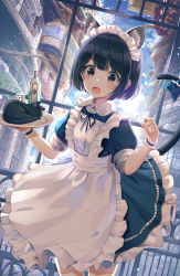 Rule 34 | 1girl, :o, absurdres, alcohol, animal, animal ear fluff, animal ears, animal ears (norankkori), apron, backlighting, black cat, blue dress, bottle, bow, building, cat, cat ears, cat girl, cat tail, dress, hands up, highres, holding, looking at animal, maid, maid apron, maid headdress, open mouth, original, short hair, short sleeves, solo, tail, tail bow, tail ornament, tail raised, tray, wing collar, wristband