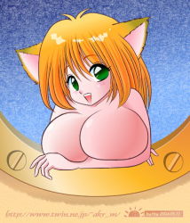 Rule 34 | 00s, 1girl, 2004, akira m, animal ears, blue background, blush, breasts, cat ears, cat girl, cat tail, collarbone, dated, fangs, green eyes, huge breasts, may, open mouth, orange hair, short hair, smile, solo, tail, teeth, upper body, window