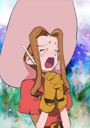 Rule 34 | 1girl, aoki, brown hair, digimon, digimon adventure, closed eyes, gloves, hat, open mouth, solo, tachikawa mimi, tears, translation request