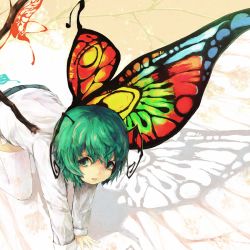 Rule 34 | 1girl, all fours, antennae, butterfly wings, female focus, green eyes, green hair, insect wings, long sleeves, looking at viewer, matching hair/eyes, multicolored wings, open mouth, shirt, short hair, shorts, solo, thighhighs, touhou, white thighhighs, wings, wriggle nightbug, yoss 3, zettai ryouiki