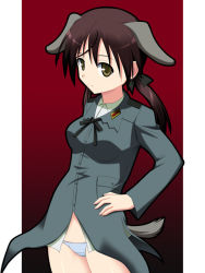 Rule 34 | 00s, 1girl, animal ears, bottomless, brown eyes, gertrud barkhorn, hyokkori tamago, military, military uniform, no pants, panties, solo, strike witches, tail, underwear, uniform, world witches series