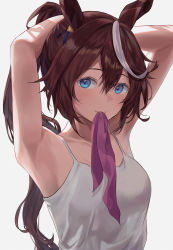 Rule 34 | 1girl, absurdres, animal ears, armpits, arms behind head, arms up, bad id, bad pixiv id, bare arms, bare shoulders, blue eyes, brown hair, camisole, hair between eyes, hair ornament, highres, horse ears, huge filesize, jenmin12, long hair, looking at viewer, mouth hold, multicolored hair, ponytail, shirt, simple background, sleeveless, sleeveless shirt, solo, streaked hair, tokai teio (umamusume), tying hair, umamusume, upper body, white background, white shirt