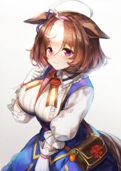 Rule 34 | 1girl, :3, ahoge, animal ears, bag, between breasts, blue dress, breasts, brown hair, closed mouth, collared shirt, commentary, dress, ears down, gloves, hairband, highres, horse ears, horse girl, horse tail, large breasts, looking at viewer, meisho doto (umamusume), multicolored hair, nihudau, puffy sleeves, purple eyes, shirt, short hair, shoulder bag, smile, solo, strap between breasts, tail, two-tone hair, umamusume, white gloves, white shirt