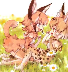 Rule 34 | 10s, 2girls, animal ear fluff, animal ears, bare shoulders, blonde hair, blue eyes, bow, bowtie, caracal (kemono friends), commentary request, elbow gloves, fang, gloves, high-waist skirt, highres, kemono friends, kneeling, kolshica, light brown hair, multicolored hair, multiple girls, no shoes, open mouth, paw pose, serval (kemono friends), serval print, serval tail, short hair, sitting, skirt, sleeveless, tail, thighhighs, traditional bowtie, white hair, yellow eyes, zettai ryouiki