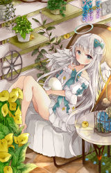 Rule 34 | 1girl, absurdres, barefoot, birdcage, blue bow, blue flower, blush, bow, cage, closed mouth, dress, egg, feathered wings, flower, green eyes, grey wings, hair between eyes, hair bow, halo, highres, long hair, looking at viewer, off-shoulder dress, off shoulder, original, pink flower, plant, potted plant, puffy short sleeves, puffy sleeves, short sleeves, silver hair, table, tsukiyo (skymint), very long hair, white dress, wings, yellow flower