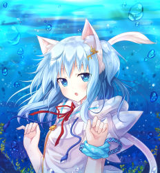 Rule 34 | 1girl, :o, animal ears, blue eyes, blue hair, bubble, cat ears, cat tail, matching hair/eyes, mint (mitsuki), mint (yano mitsuki), mitsuki, original, red ribbon, ribbon, short hair, solo, tail, underwater, upper body, yano mitsuki (nanairo)