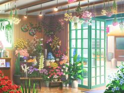 Rule 34 | blue flower, cactus, door, doormat, flower, flower pot, flower shop, forget-me-not (flower), game cg, hanging flower, hanging light, hanging plant, hyacinth, hydrangea, indoors, lily (flower), no humans, orange flower, orange rose, pink flower, pink rose, plant, potted plant, purple flower, purple rose, red flower, red rose, reflective floor, road, rose, scenery, shelf, shop, street, third-party source, tulip, uta no prince-sama, uta no prince-sama: shining live, vase, white flower, wooden wall, yellow flower