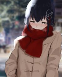 Rule 34 | 1girl, 73suke, absurdres, alternate costume, black hair, blurry, brown coat, brown eyes, coat, commentary request, depth of field, haguro (kancolle), hair ornament, highres, kantai collection, red scarf, scarf, short hair, solo, upper body, winter clothes