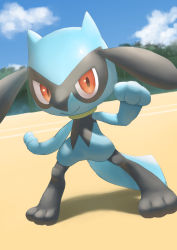 Rule 34 | closed mouth, cloud, commentary request, creatures (company), day, game freak, gen 4 pokemon, highres, legs apart, looking at viewer, nintendo, outdoors, pokemon, pokemon (creature), purobe, red eyes, riolu, sky, smile, solo, standing, toes