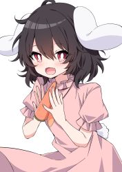 Rule 34 | 1girl, animal ears, black hair, blush, bright pupils, rabbit ears, rabbit tail, carrot, commentary request, dress, fang, food, hair between eyes, hands up, highres, holding, holding food, inaba tewi, looking at viewer, open mouth, pink dress, red eyes, short hair, short sleeves, simple background, skin fang, smile, solo, tail, touhou, tsukimirin, white background, white pupils