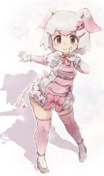 Rule 34 | 10s, 1girl, animal ears, brown eyes, commentary request, frilled skirt, frills, full body, gloves, hair ornament, hairclip, high heels, highres, kemono friends, kolshica, looking at viewer, neck ribbon, outline, outstretched arm, pig (kemono friends), pig ears, pig tail, pink ribbon, pink thighhighs, puffy short sleeves, puffy sleeves, ribbon, shadow, shoes, short hair, short sleeves, simple background, skirt, smile, solo, tail, thighhighs, white gloves, white hair, white outline