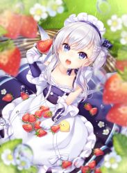 Rule 34 | 1girl, apron, azur lane, belfast (azur lane), bird, blue eyes, braid, chick, flower, food, from above, fruit, gloves, highres, kitazume kumie, little bel (azur lane), long hair, looking at viewer, maid, maid apron, maid headdress, one side up, open mouth, silver hair, sitting, solo, strawberry, water drop