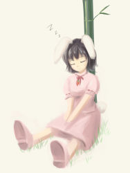 Rule 34 | 1girl, animal ears, bad id, bad pixiv id, bamboo, rabbit ears, carrot, dress, female focus, full body, inaba tewi, jewelry, nature, necklace, outdoors, phantasmagoria of flower view, plant, sleeping, solo, tdk, touhou