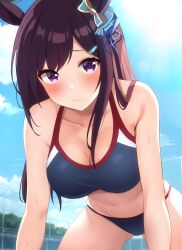 Rule 34 | 1girl, absurdres, alternate costume, armpit crease, bare arms, bare shoulders, blush, breasts, brown hair, cleavage, closed mouth, cloud, collarbone, day, gluteal fold, highres, horse girl, long hair, looking at viewer, medium breasts, mejiro dober (umamusume), navel, outdoors, purple eyes, raised eyebrows, solo, sports bikini, sweat, umamusume, zeatto