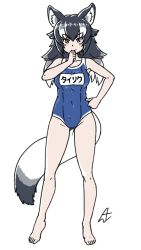 Rule 34 | 1girl, acesrulez, alternate costume, animal ears, bare legs, bare shoulders, barefoot, blue eyes, blue one-piece swimsuit, blush, commentary request, full body, grey hair, grey wolf (kemono friends), hand on own chin, heterochromia, kemono friends, long hair, looking at viewer, midriff, multicolored hair, name tag, navel, one-piece swimsuit, school swimsuit, solo, swimsuit, tail, translation request, white hair, wolf ears, wolf girl, wolf tail, yellow eyes