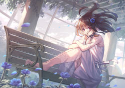 Rule 34 | 1girl, ahoge, barefoot, bench, black ribbon, blue flower, blush, brown hair, closed mouth, cloud, cloudy sky, day, dress, floating hair, flower, hair flower, hair ornament, highres, knees up, koh rd, looking at viewer, neck ribbon, on bench, original, petals, red eyes, ribbon, see-through, short sleeves, sitting, sky, solo, white dress, wind