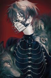 Rule 34 | 1boy, animal, animal on shoulder, black hair, black shirt, brown hair, chain, clenched teeth, collared shirt, earrings, fang, grey eyes, harness, highres, jewelry, looking at viewer, male focus, muzzle, o-ring, open mouth, original, red background, ribs, salmonpig, shirt, short hair, stud earrings, teeth, upper body, wolf