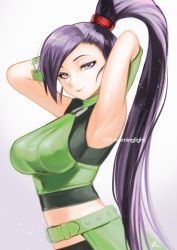 Rule 34 | 1girl, armpits, arms behind head, arms up, asakou (n morninglight), belt, breasts, choker, closed mouth, commentary request, crop top, dragon quest, dragon quest xi, green belt, green choker, halterneck, high ponytail, highres, large breasts, lips, long hair, looking at viewer, martina (dq11), midriff, pink lips, ponytail, purple eyes, purple hair, signature, sleeveless, smile, solo, twitter username, very long hair