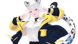 Rule 34 | 1girl, animal ear fluff, animal ears, belt, belt buckle, black belt, black shorts, blue jacket, breasts, buckle, cait aron, collared shirt, double v, dress shirt, hair between eyes, hands up, highres, indie virtual youtuber, jacket, kusubashi shiya, leopard ears, leopard girl, leopard tail, long sleeves, looking at viewer, medium breasts, open clothes, open jacket, puffy long sleeves, puffy sleeves, purple eyes, shirt, shorts, simple background, sleeves past wrists, solo, tail, upper body, v, virtual youtuber, white background, white hair, white shirt