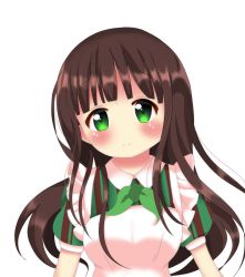 Rule 34 | 1girl, absurdres, apron, argyros, blunt bangs, blush, bow, bowtie, breasts, brown hair, closed mouth, collared dress, commentary request, dress, gochuumon wa usagi desu ka?, green bow, green bowtie, green dress, green eyes, highres, long hair, looking at viewer, maid apron, medium breasts, portrait, puffy short sleeves, puffy sleeves, short sleeves, simple background, smile, solo, striped clothes, striped dress, ujimatsu chiya, white apron, white background, wing collar